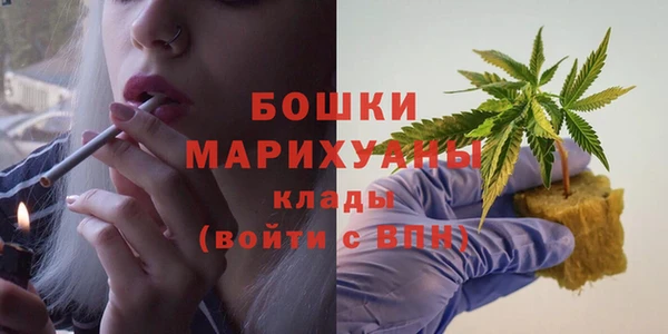 крисы Новокубанск