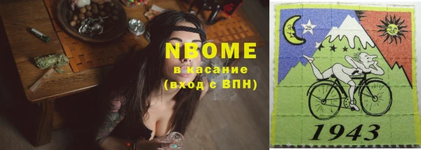 крисы Новокубанск