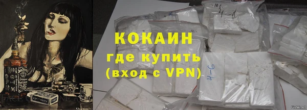 индика Новозыбков