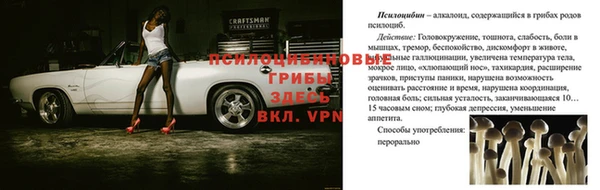 спиды Нея