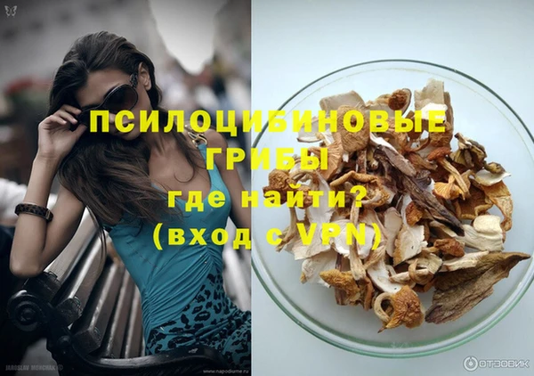 индика Новозыбков