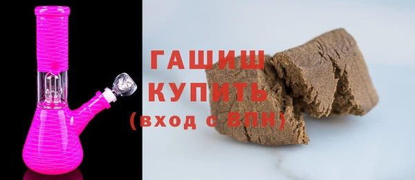 индика Новозыбков