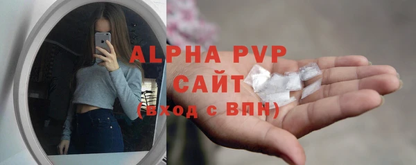 крисы Новокубанск