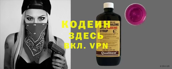 индика Новозыбков