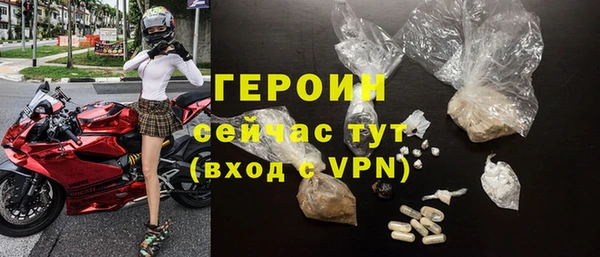 индика Новозыбков