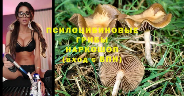 mdpv Нефтекумск