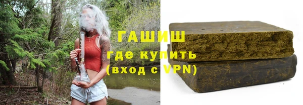 индика Новозыбков