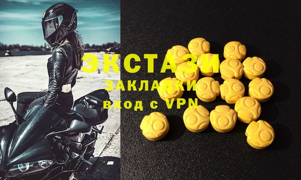 индика Новозыбков