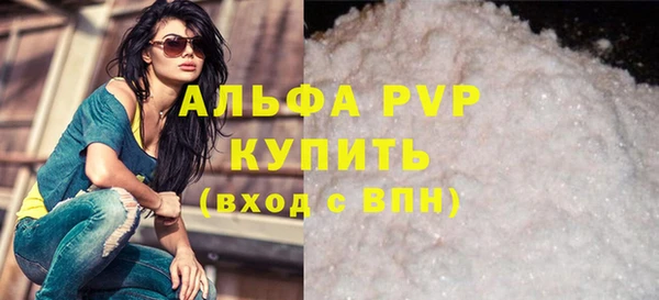 индика Новозыбков